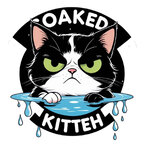 Top OnlyFans creator in Boston Massachusetts - SoakedKitteh